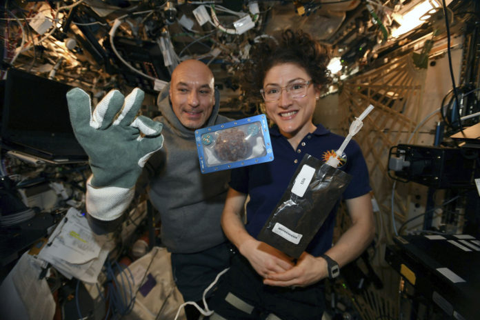 In this photo made available by U.S. astronaut Christina Koch via Twitter on Dec. 26, 2019, she and Italian astronaut Luca Parmitano pose for a photo with a cookie baked on the International Space Station. The results are finally in for the first chocolate chip cookie bake-off in space. While looking more or less normal, the best cookies required two hours of baking time last month up at the International Space Station. It takes far less time on Earth, under 20 minutes. And how do they taste? No one knows. (NASA via AP, File)