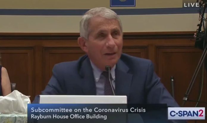Dr. Anthony Fauci testifying before House lawmakers on Friday July 31, 2020 (Source: Screenshot from Twitter)